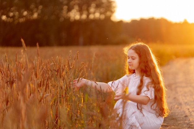 Child touching rye or wheat sprouts in a field on sunset