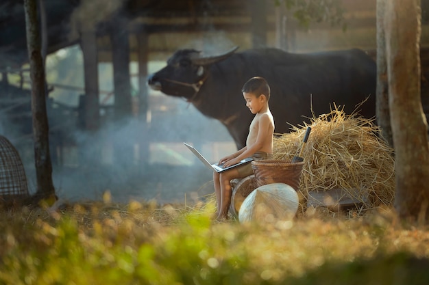 Child using computer outdoor