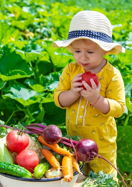 Child in the vegetable garden selective focus