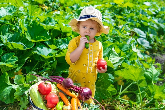 Child in the vegetable garden selective focus