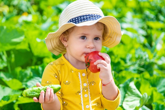 Child in the vegetable garden selective focus