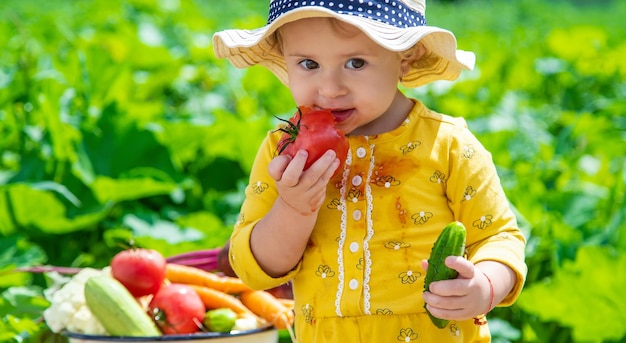 Child in the vegetable garden selective focus