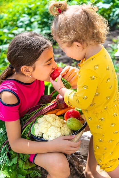 Child in the vegetable garden selective focus