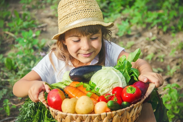 A child in the vegetable garden