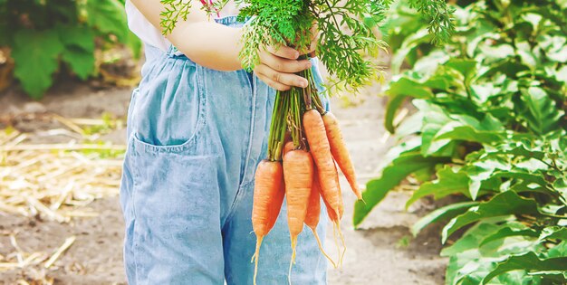 Child and vegetables on the farm. photo.