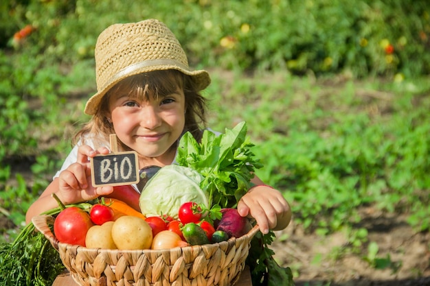 Child and vegetables on the farm Selective focus nature