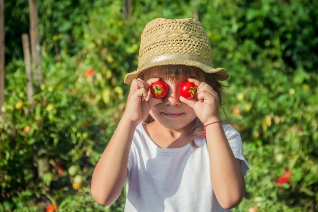 Child and vegetables on the farm Selective focus