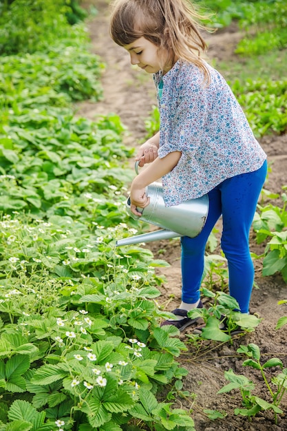 Child watering flowers in the garden.