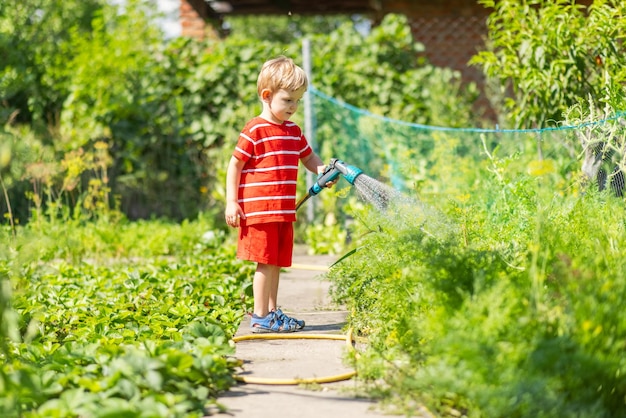 Child watering flowers and plants in garden little boy gardening