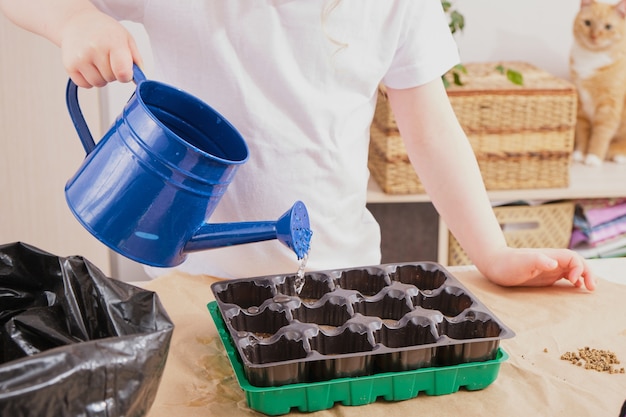 Child watering seedlings, seedling greenhouse and garden tools on the table, spring planting