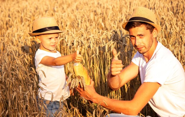 A child in a wheat field eats bread.