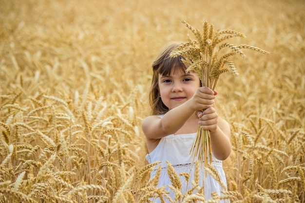 Child in a wheat field selective focus