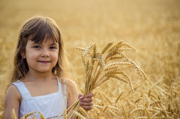 Child in a wheat field selective focus