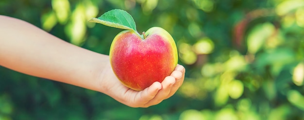 Child with an apple in the garden