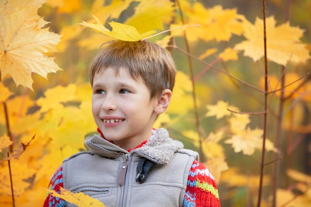 A child with autumn maple leaves A boy on a walk Autumn season