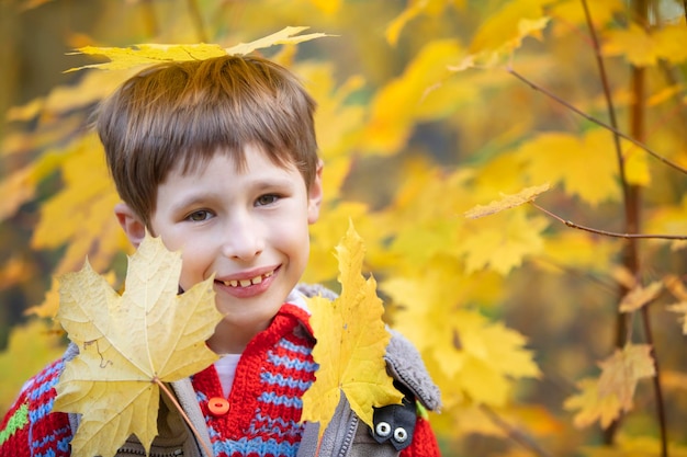 A child with autumn maple leaves A boy on a walk Autumn season