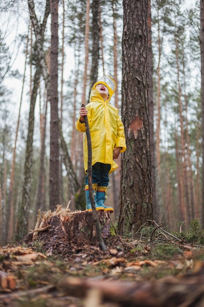 Child in yellow raincoat walking in the forest and fun stands on a stump and looks at the sky