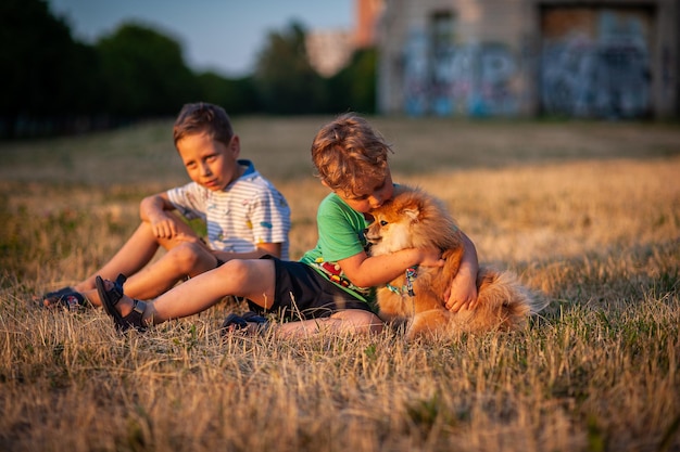 The children are playing with the dog in the meadow spitz place for text