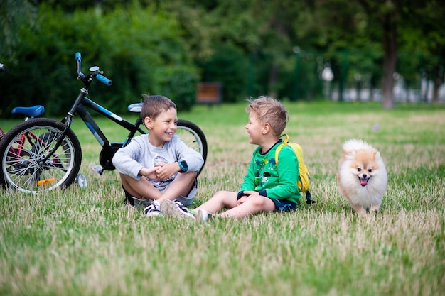 The children are playing with the dog in the meadow spitz place for text