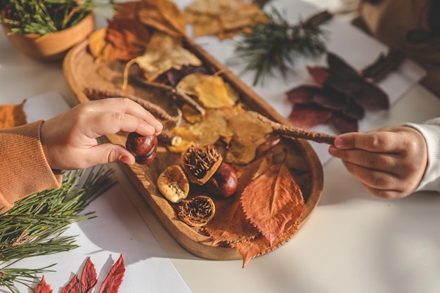 Photo children explore and work with natural materials creativity top view