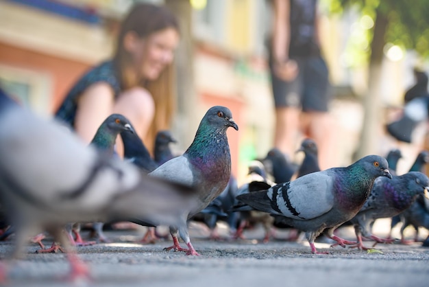 Children feed pigeons Blurred background