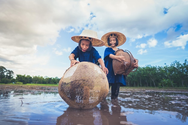 Children finding fish on tradition tool for catch fish in rice field of rural