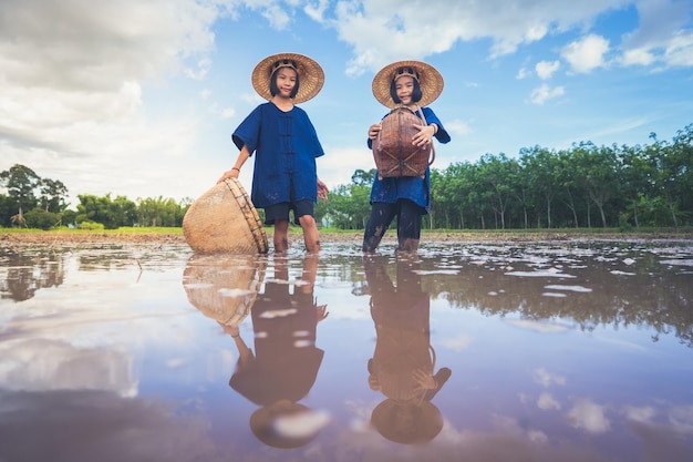 Children finding fish on tradition tool for catch fish in rice field of rural