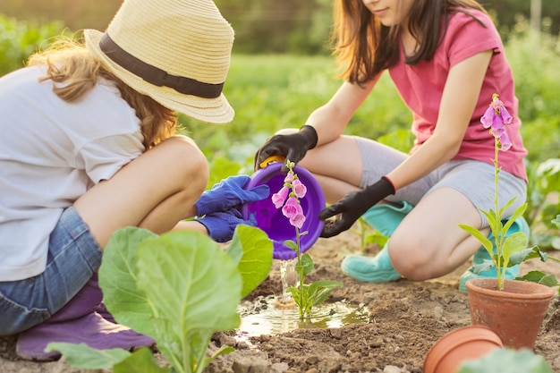 Children girls planting flowering pot plant in ground