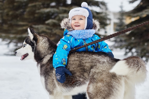 Children go out and play with husky dog in winter. Children sit in the snow and stroked dog husky. Walk in the Park in winter, joy and fun, dog husky with blue eyes. Russia, Sverdlovsk, 28 Dec 2017