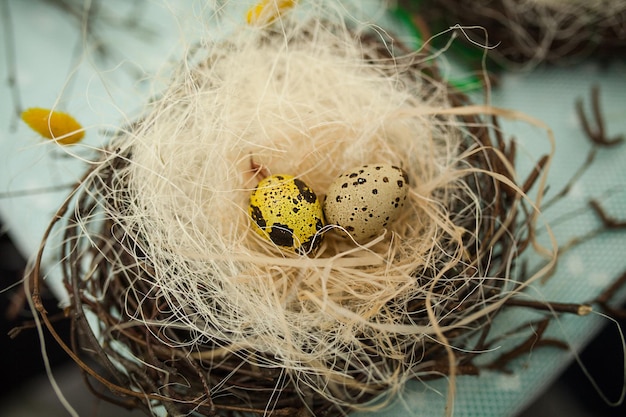 Children make a nest for birds nest for birds