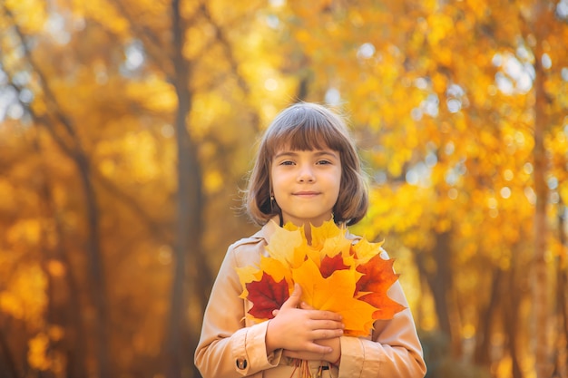 Children in the park with autumn leaves. Selective focus.