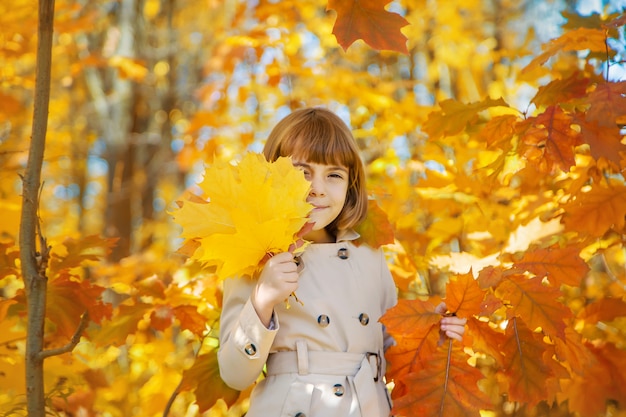 Children in the park with autumn leaves. Selective focus.