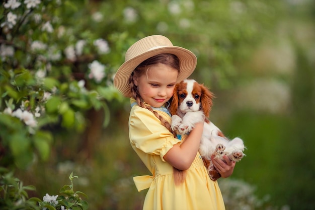 Children and pets cute little girl in a hat with pigtails holding a brown puppy cavalier king charles spaniel in her arms