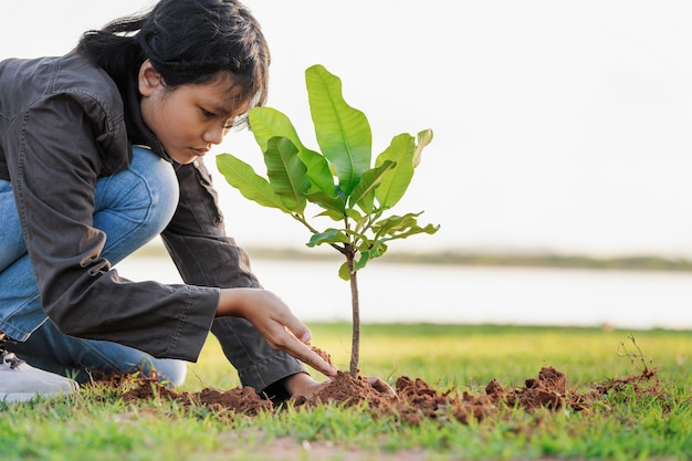 Children planting small tree in sunset concept save earth