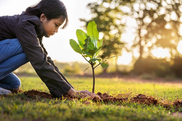 Children planting small tree in sunset concept save earth