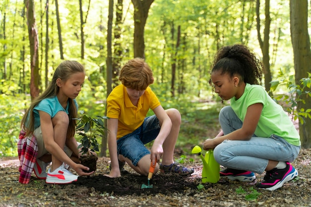 Children planting together in the forest