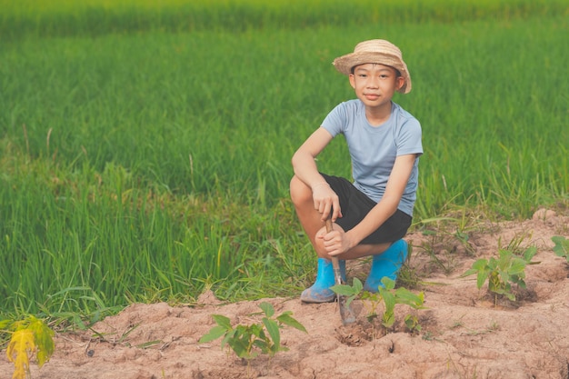 Children planting the tree in countryside