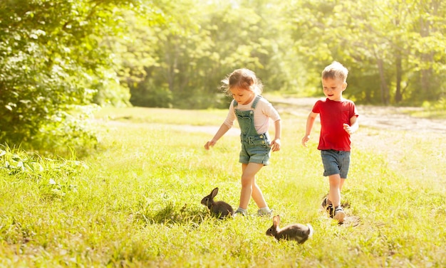 children on the sunlit lawn are running after rabbits