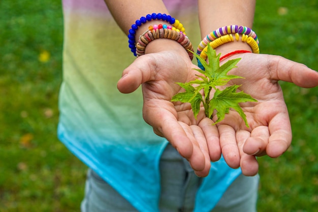 Children take care of nature tree in their hands Selective focus