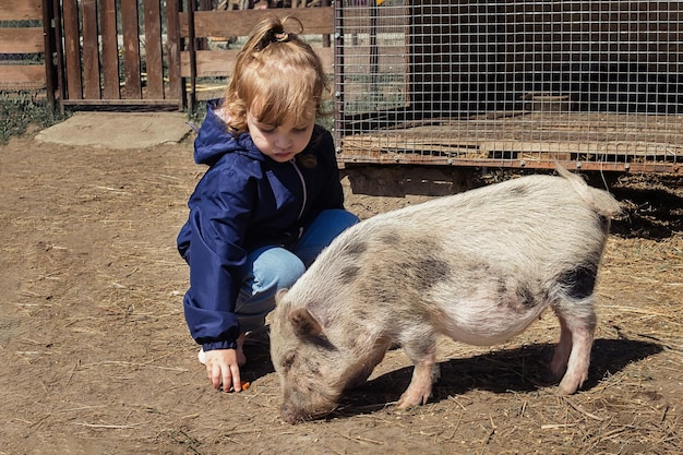 Children take care of pets, a little girl feeds a pig from her hands