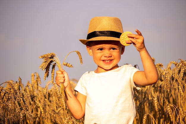 Children in a wheat field eats cookies. Selective focus