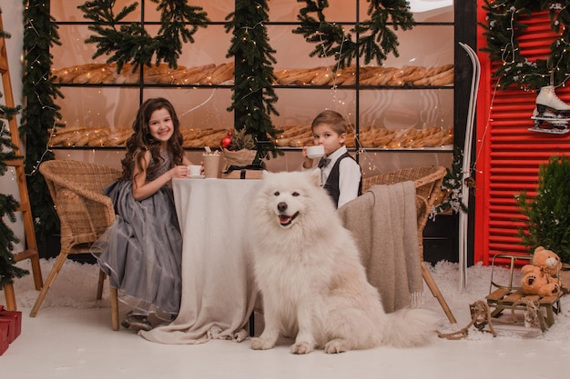 Children with a Samoyed dog New Year