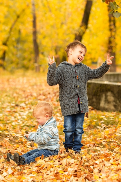 Children in yellow and gold autumn forest