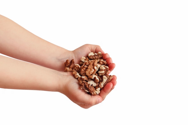 Childrens hands with walnuts on a white background