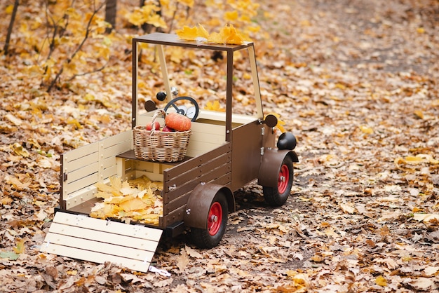 Childrens wooden truck in the autumn park