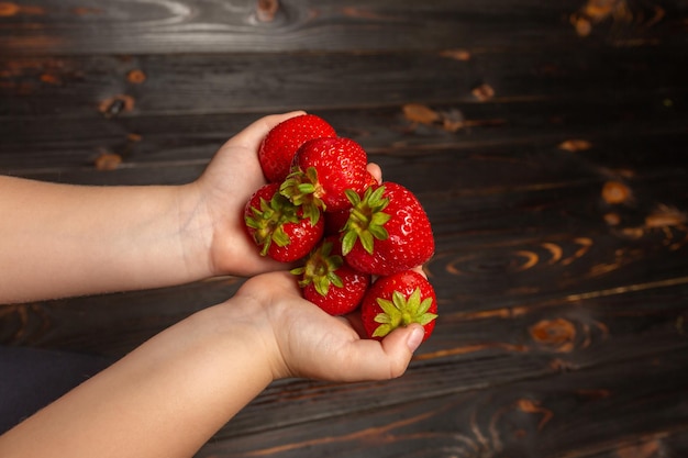 Childs Hands holding handful of strawberries close up