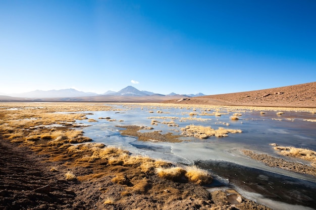 Chilean lagoon landscape Chile