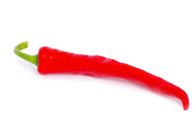 Chili pepper