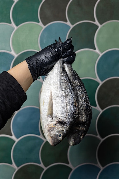 chilled bream in a fish shop