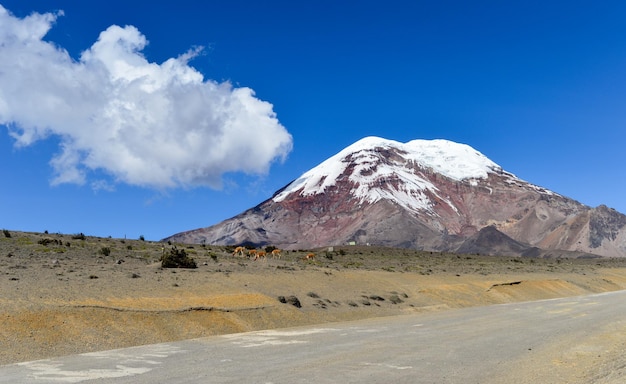 Chimborazo volcano and the melting ice cap on a fair day. Ecuador